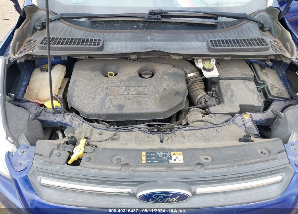 2014 FORD ESCAPE SE VIN: 1FMCU9G97EUC24629