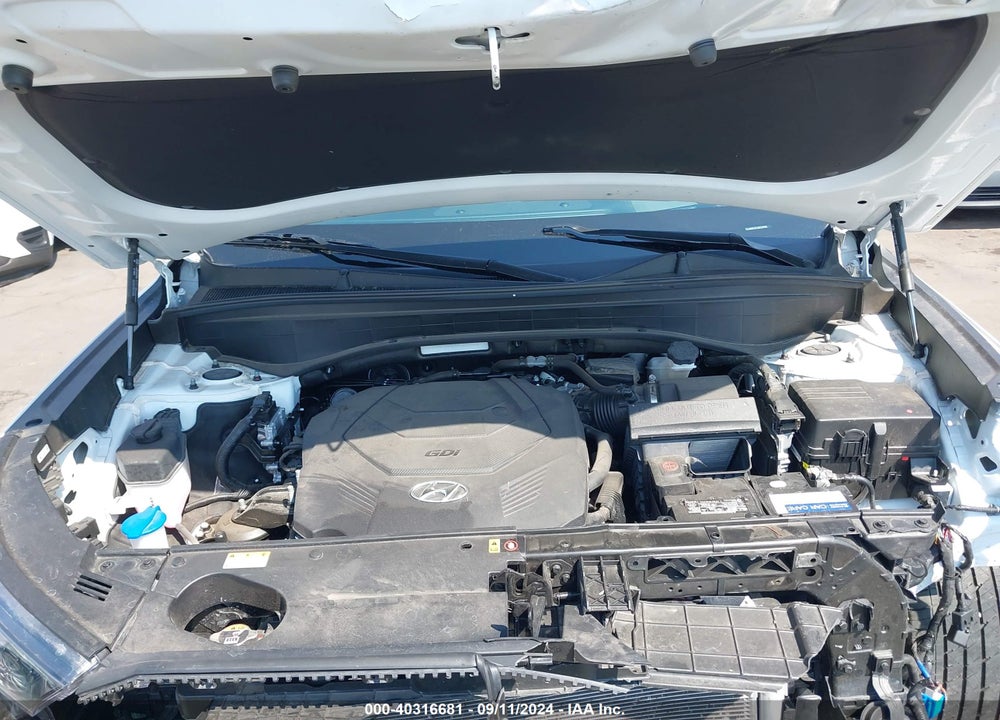 2021 HYUNDAI PALISADE CALLIGRAPHY VIN: KM8R7DHE3MU294580