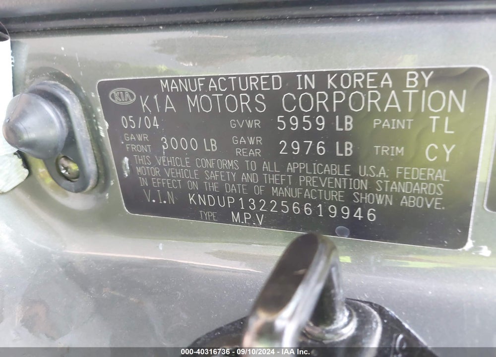 2005 KIA SEDONA EX/LX VIN: KNDUP132256619946