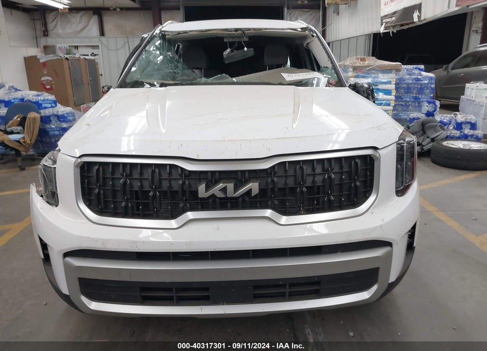 2024 KIA TELLURIDE EX VIN: 5XYP34GC8RG438561