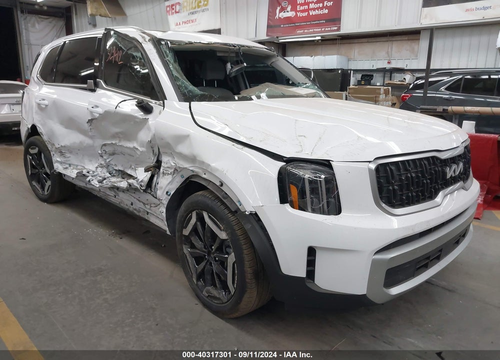 2024 KIA TELLURIDE EX VIN: 5XYP34GC8RG438561