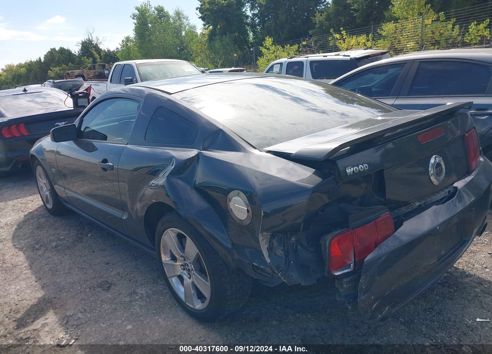 2007 FORD MUSTANG GT DELUXE/GT PREMIUM VIN: 1ZVFT82H075219392