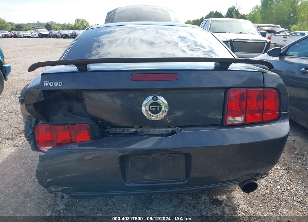 2007 FORD MUSTANG GT DELUXE/GT PREMIUM VIN: 1ZVFT82H075219392