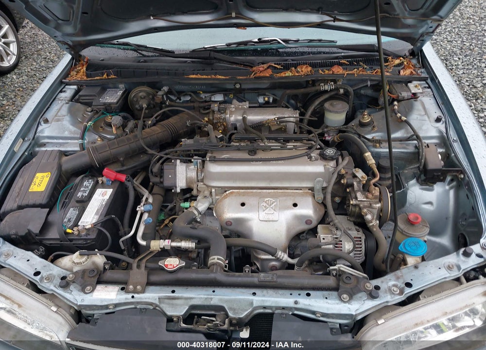 1996 HONDA ACCORD LX/EX VIN: 1HGCD5630TA152988