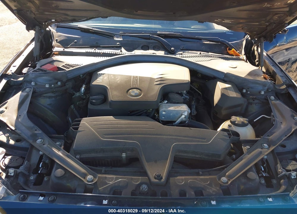 2015 BMW 228I VIN: WBA1K5C54FV242947