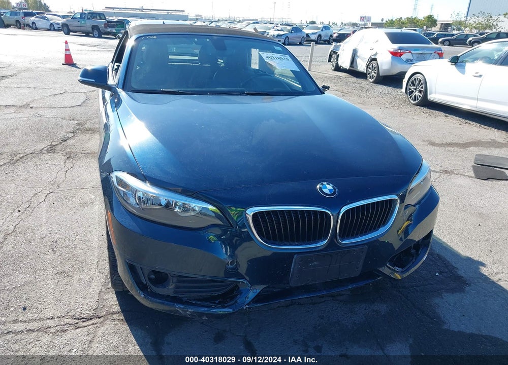 2015 BMW 228I VIN: WBA1K5C54FV242947