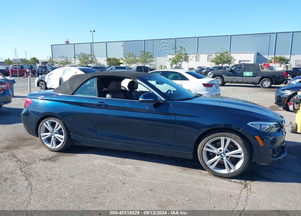 2015 BMW 228I VIN: WBA1K5C54FV242947