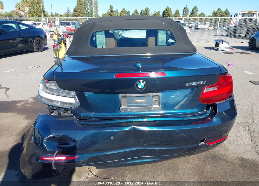 2015 BMW 228I VIN: WBA1K5C54FV242947