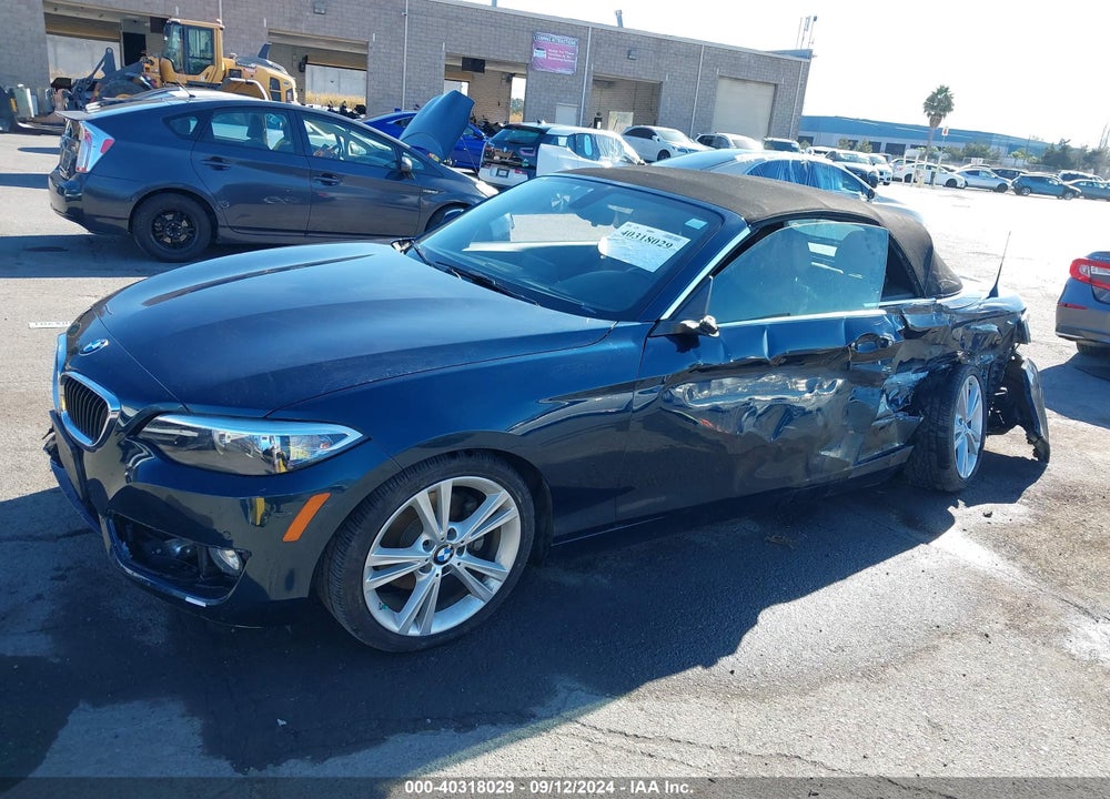 2015 BMW 228I VIN: WBA1K5C54FV242947