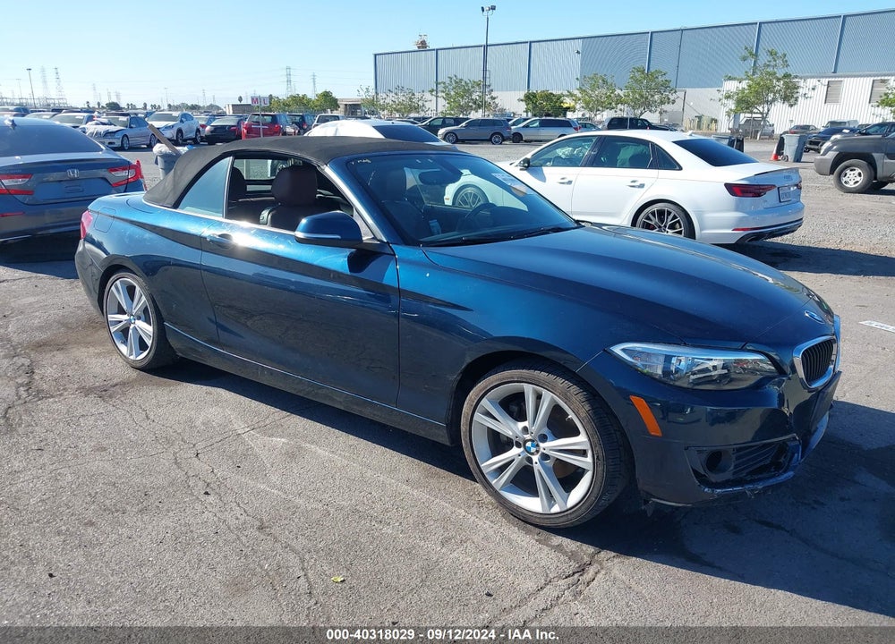 2015 BMW 228I VIN: WBA1K5C54FV242947