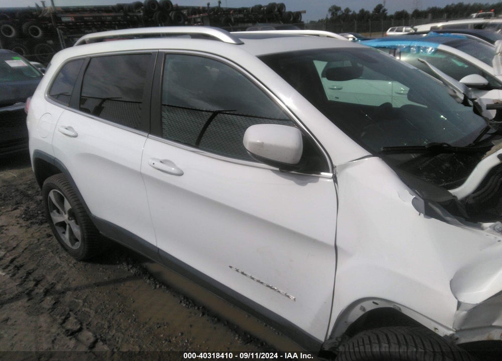 2019 JEEP CHEROKEE LIMITED 4X4 VIN: 1C4PJMDXXKD218825