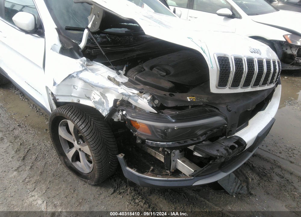 2019 JEEP CHEROKEE LIMITED 4X4 VIN: 1C4PJMDXXKD218825