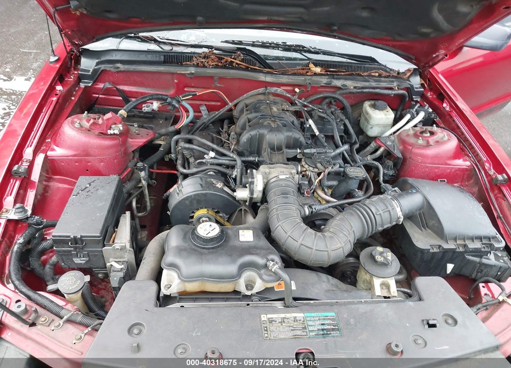 2005 FORD MUSTANG VIN: 1ZVFT84N755238277