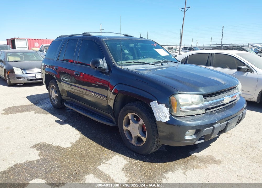 2004 CHEVROLET TRAILBLAZER LT VIN: 1GNDT13S442366198