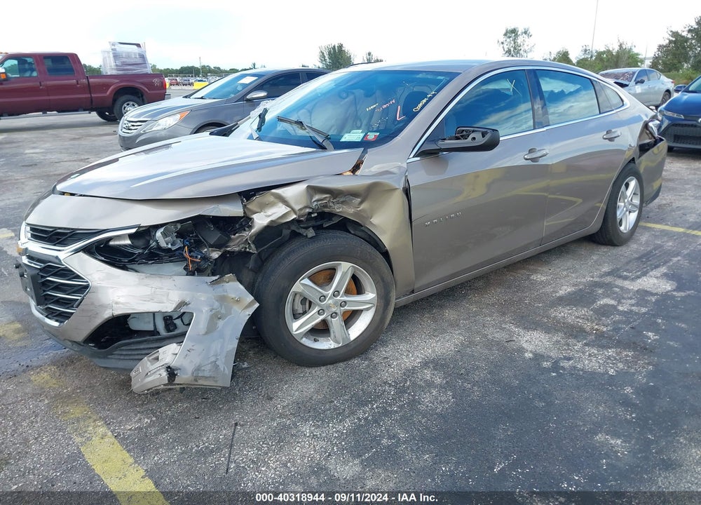 2023 CHEVROLET MALIBU FWD 1LT VIN: 1G1ZD5ST0PF246496