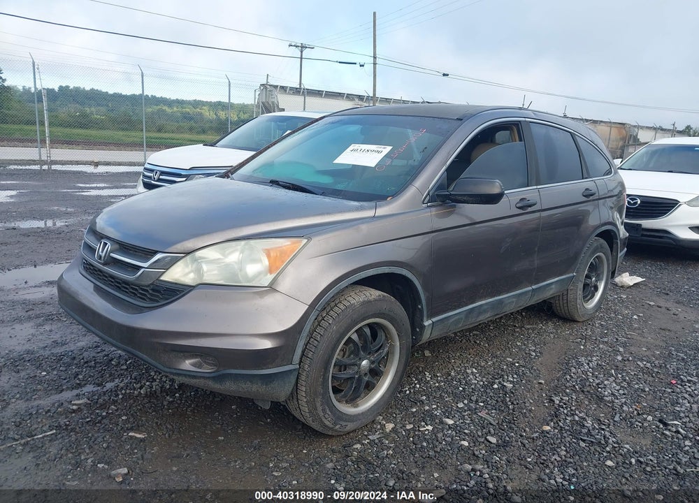 2010 HONDA CR-V LX VIN: 5J6RE3H31AL042583