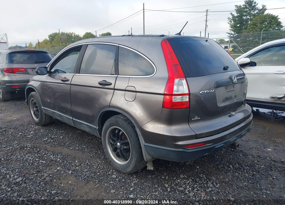 2010 HONDA CR-V LX VIN: 5J6RE3H31AL042583