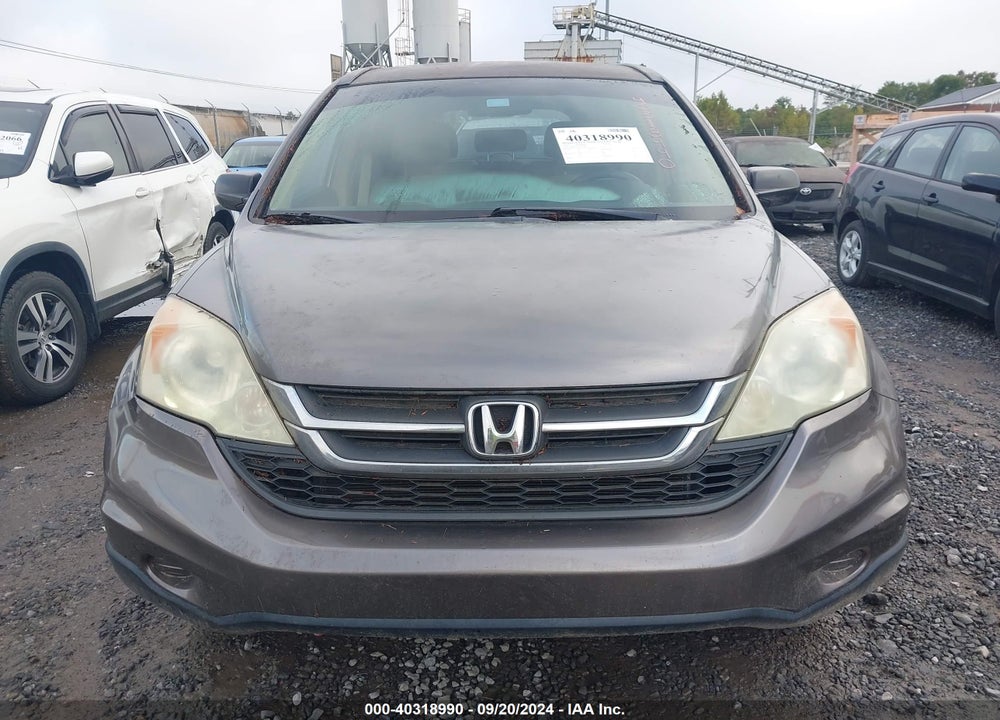 2010 HONDA CR-V LX VIN: 5J6RE3H31AL042583