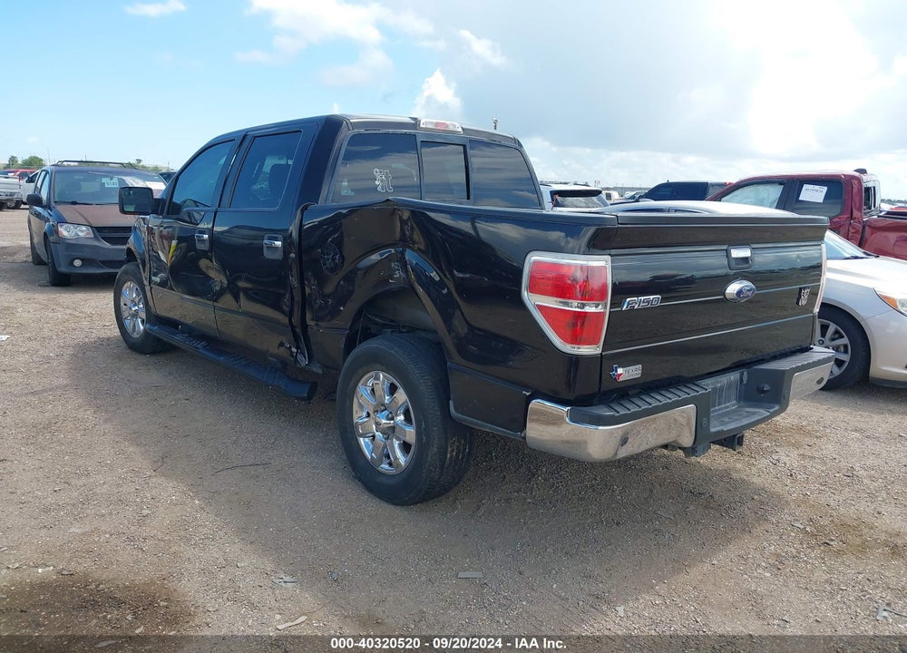 2013 FORD F-150 XLT VIN: 1FTFW1CT5DKG23984