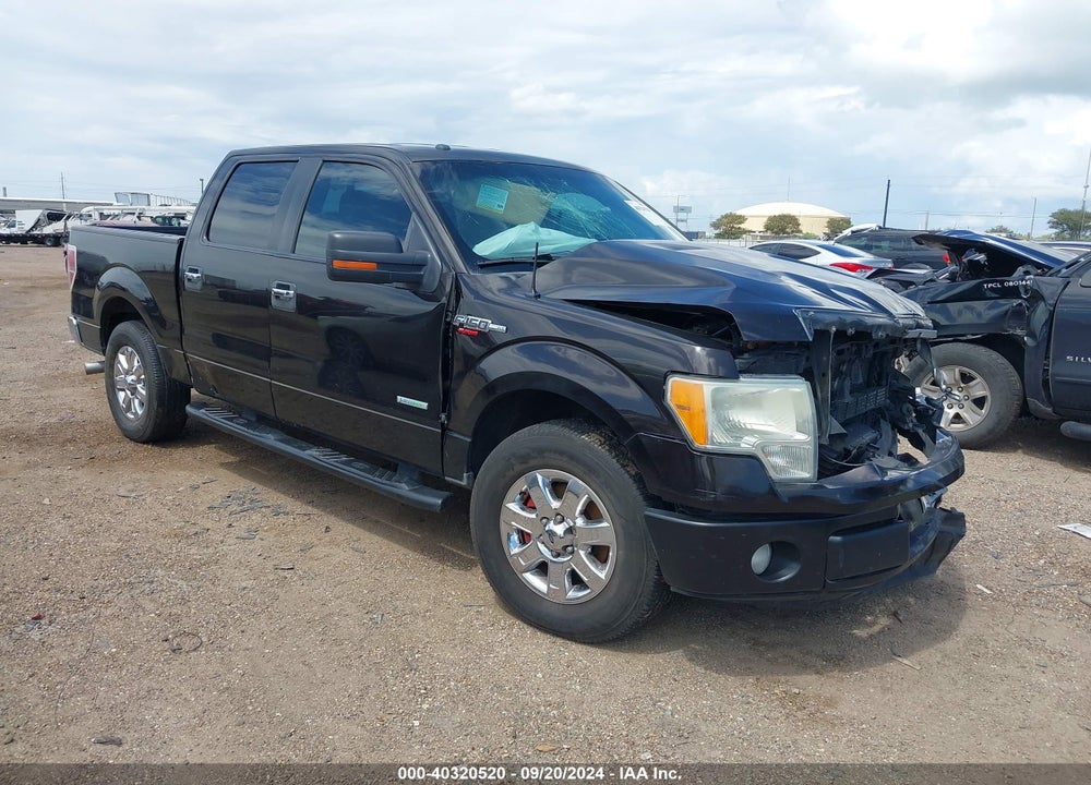 2013 FORD F-150 XLT VIN: 1FTFW1CT5DKG23984