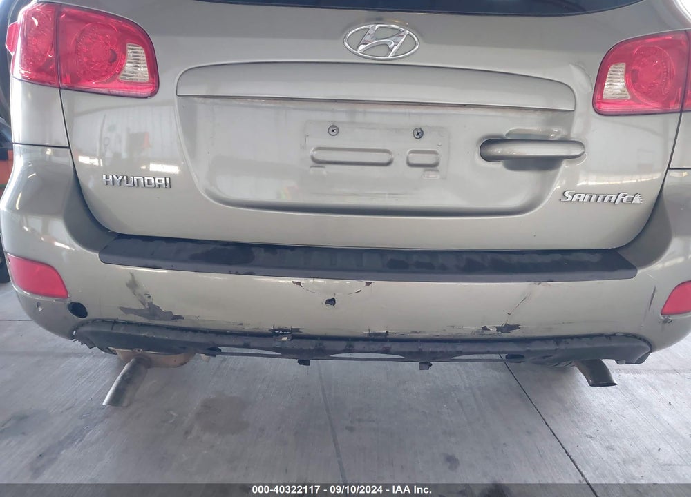 2009 HYUNDAI SANTA FE VIN: 5NMSG13D59H247777
