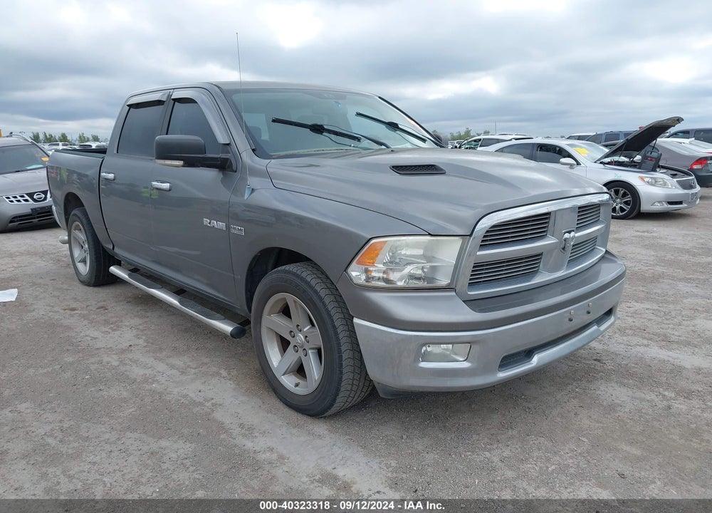 2009 DODGE RAM 1500 SLT/SPORT/TRX VIN: 1D3HB13T49S733024