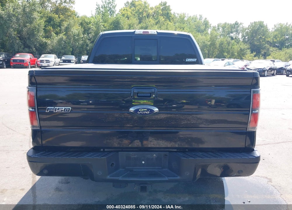 2013 FORD F-150 FX4 VIN: 1FTFW1ETXDFE03956