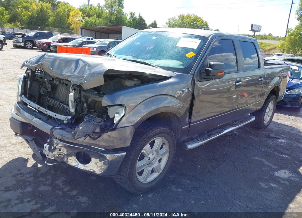 2014 FORD F-150 XLT VIN: 1FTFW1EF7EKD80395