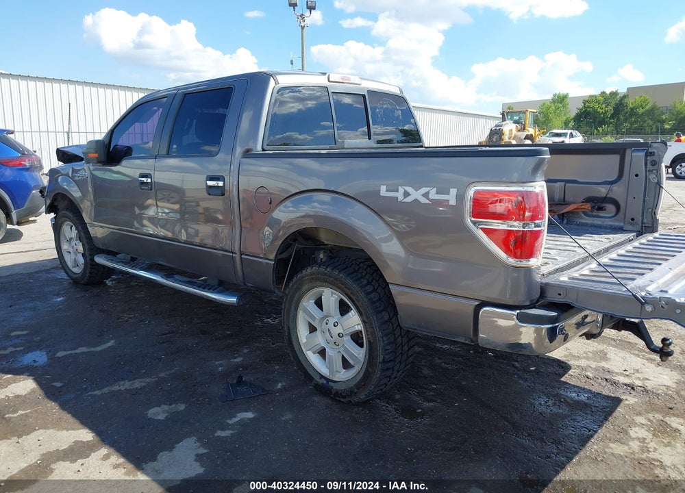 2014 FORD F-150 XLT VIN: 1FTFW1EF7EKD80395