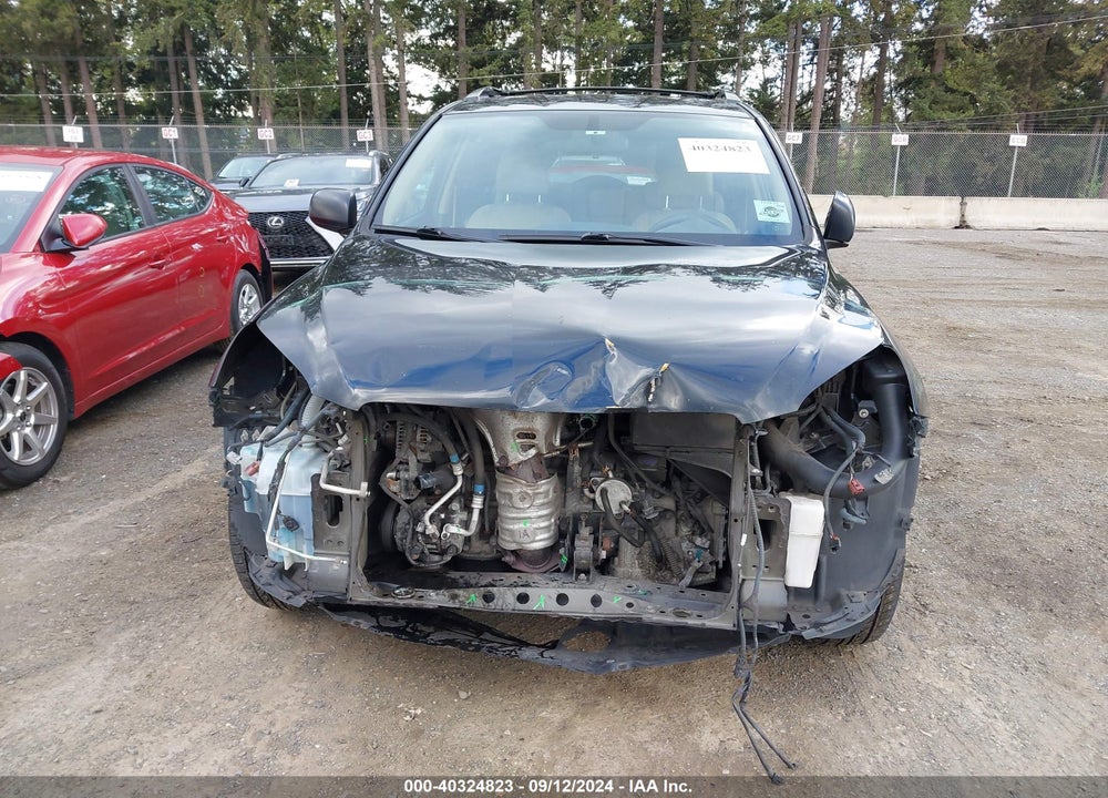 2009 TOYOTA RAV4 VIN: JTMBF33V89D011382