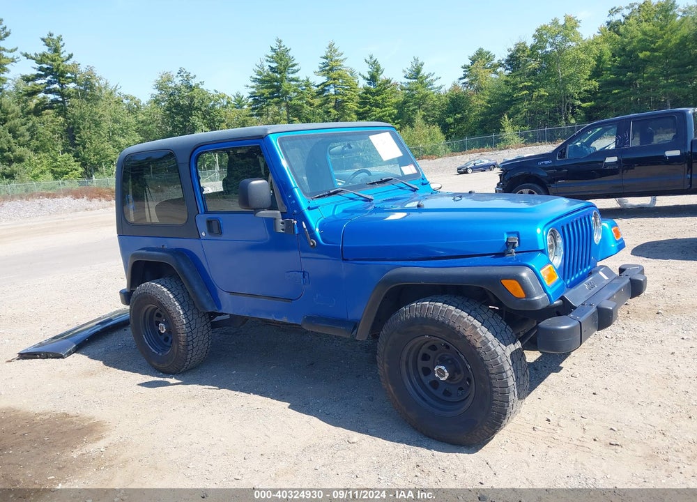 2003 JEEP WRANGLER X VIN: 1J4FA39S73P317518