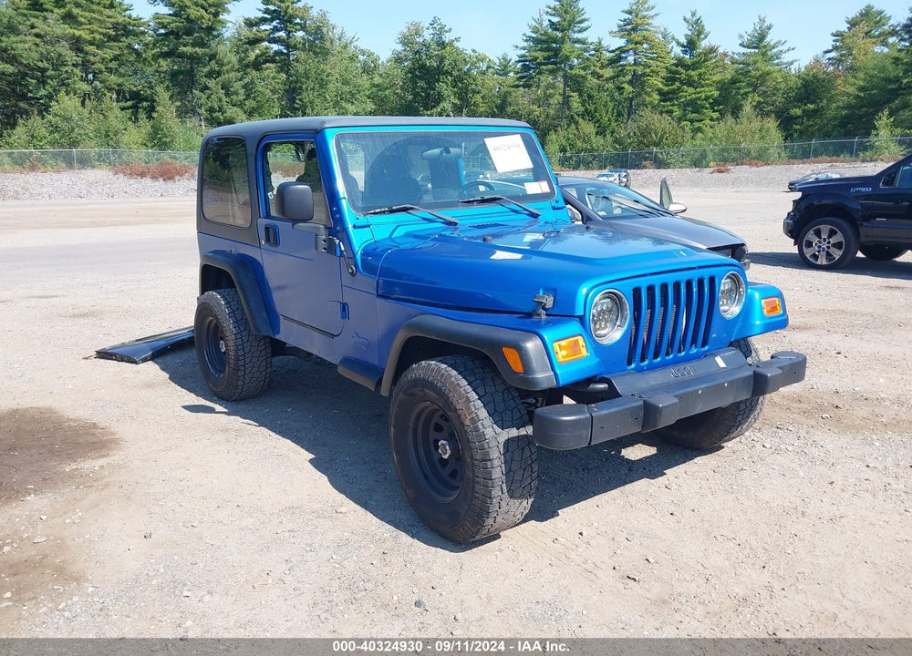 2003 JEEP WRANGLER X VIN: 1J4FA39S73P317518