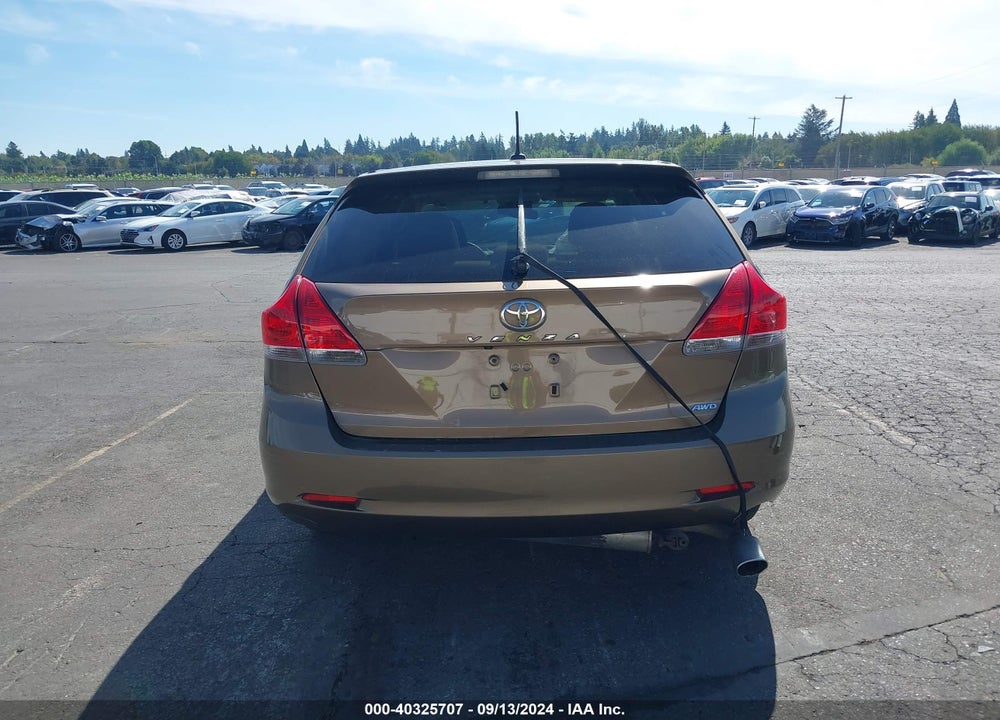 2009 TOYOTA VENZA VIN: 4T3BE11A39U005015