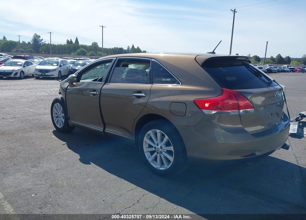 2009 TOYOTA VENZA VIN: 4T3BE11A39U005015