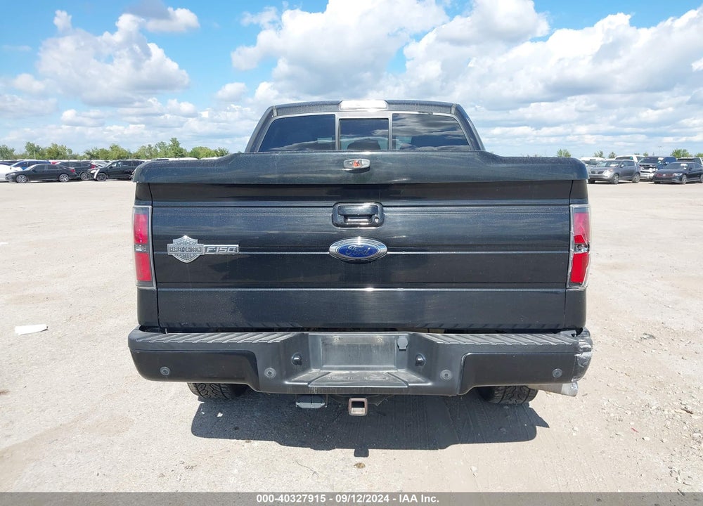 2012 FORD F-150 HARLEY-DAVIDSON VIN: 1FTFW1E67CFD05668