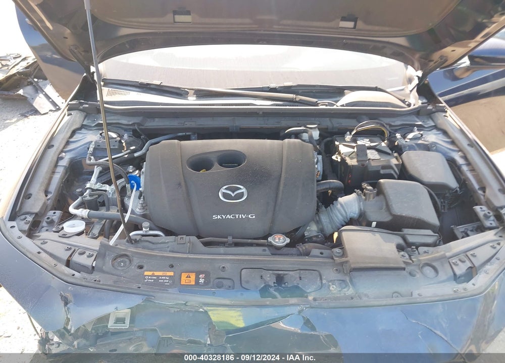 2019 MAZDA MAZDA3 VIN: JM1BPBJM2K1144633