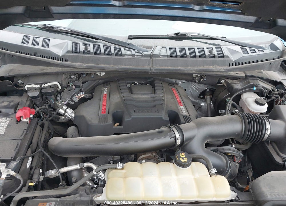 2019 FORD F-150 RAPTOR VIN: 1FTFW1RG3KFB67824