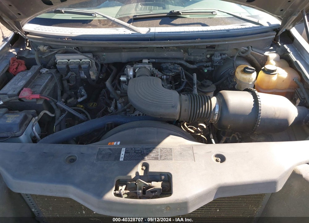 2005 FORD F-150 STX/XL/XLT VIN: 1FTRX12W95KD60888