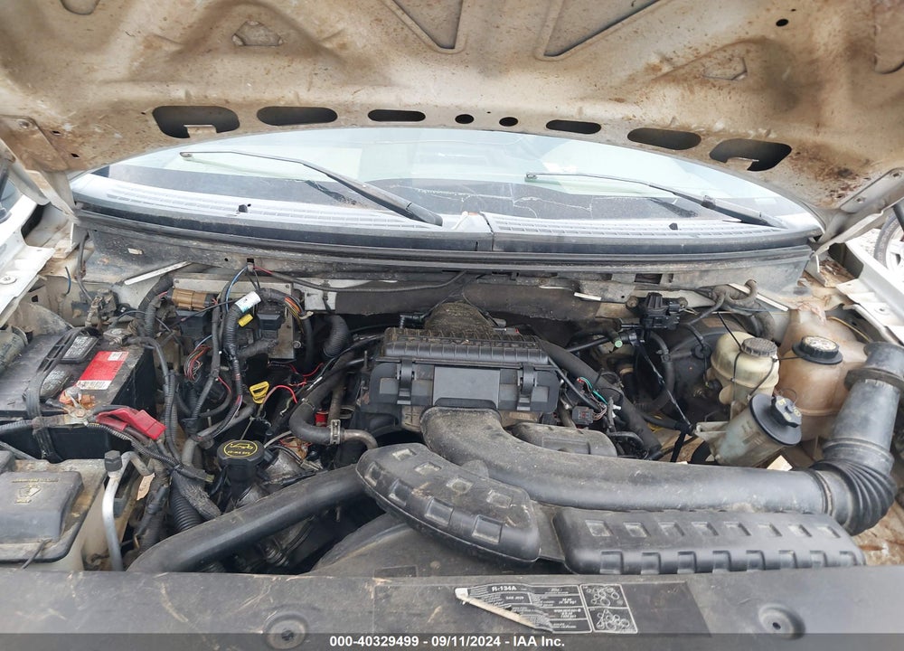 2005 FORD F-150 FX4/LARIAT/XLT VIN: 1FTPW14525FA87655