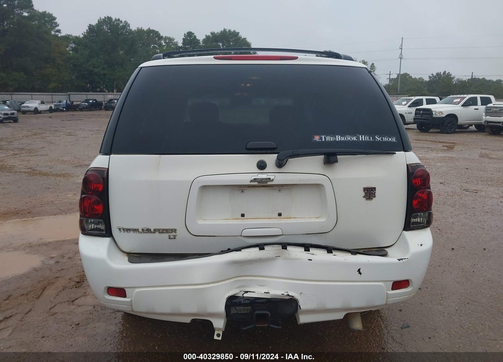 2007 CHEVROLET TRAILBLAZER LT VIN: 1GNDS13S972127950