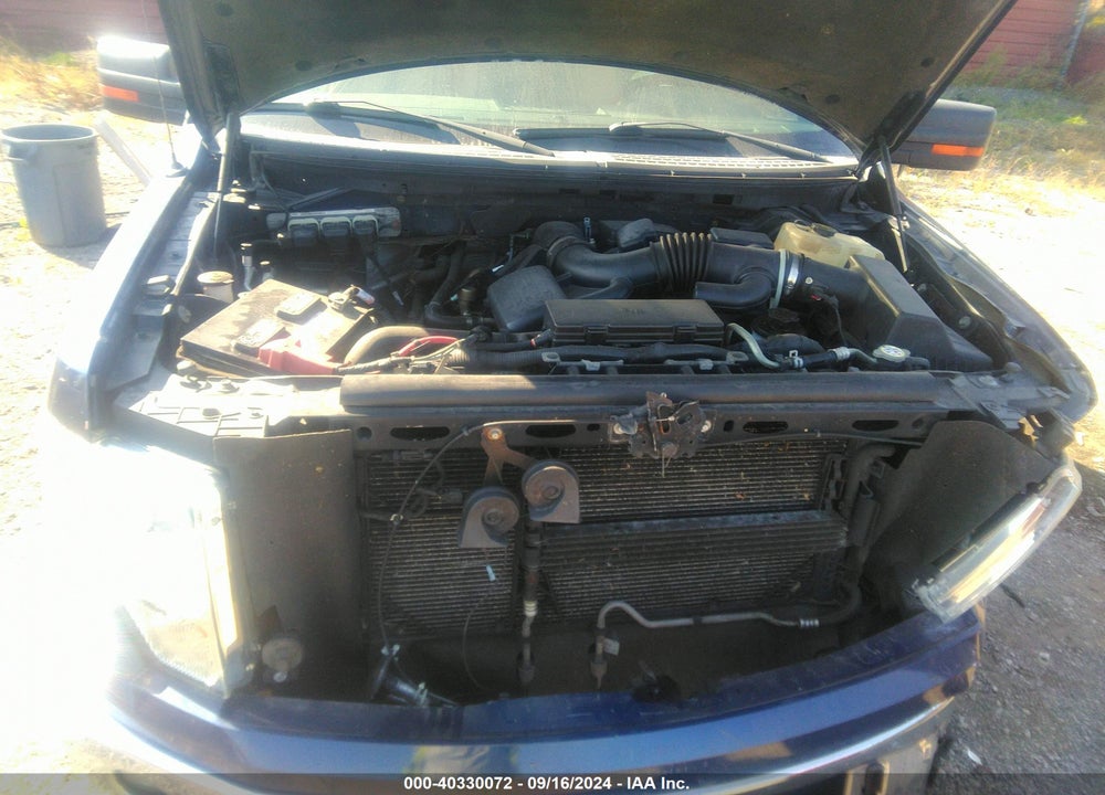 2010 FORD F-150 FX4/LARIAT/XL/XLT VIN: 1FTFX1EV5AFC48503
