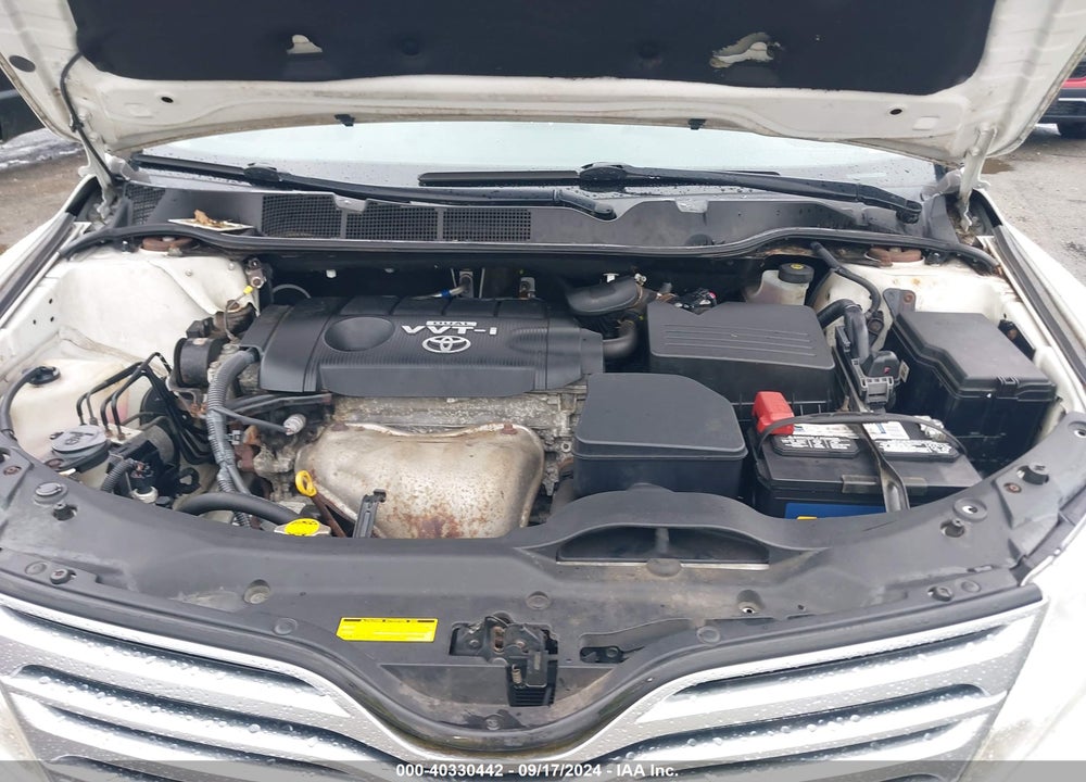 2009 TOYOTA VENZA VIN: 4T3ZE11A19U012561