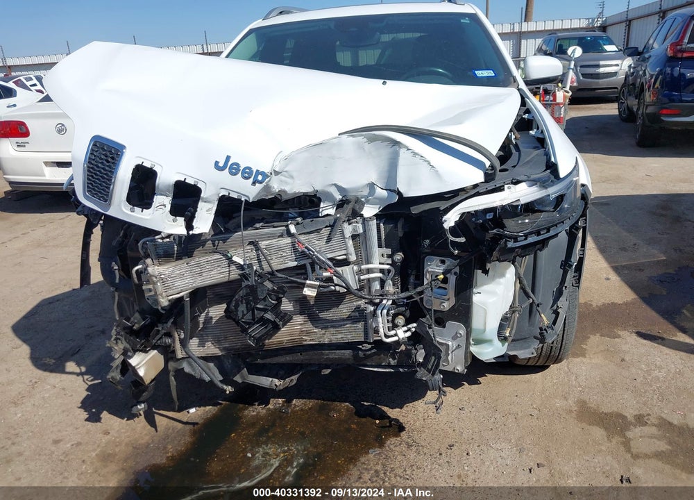 2019 JEEP CHEROKEE LIMITED 4X4 VIN: 1C4PJMDN3KD124073