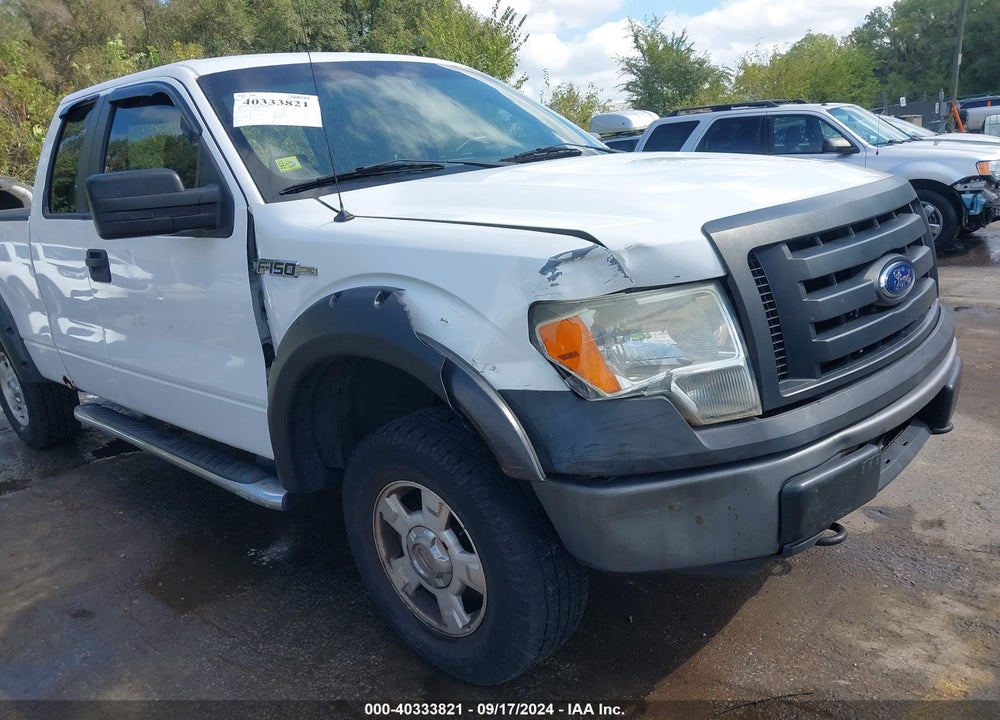 2009 FORD F-150 STX/XL VIN: 1FTRX14W19KB12038