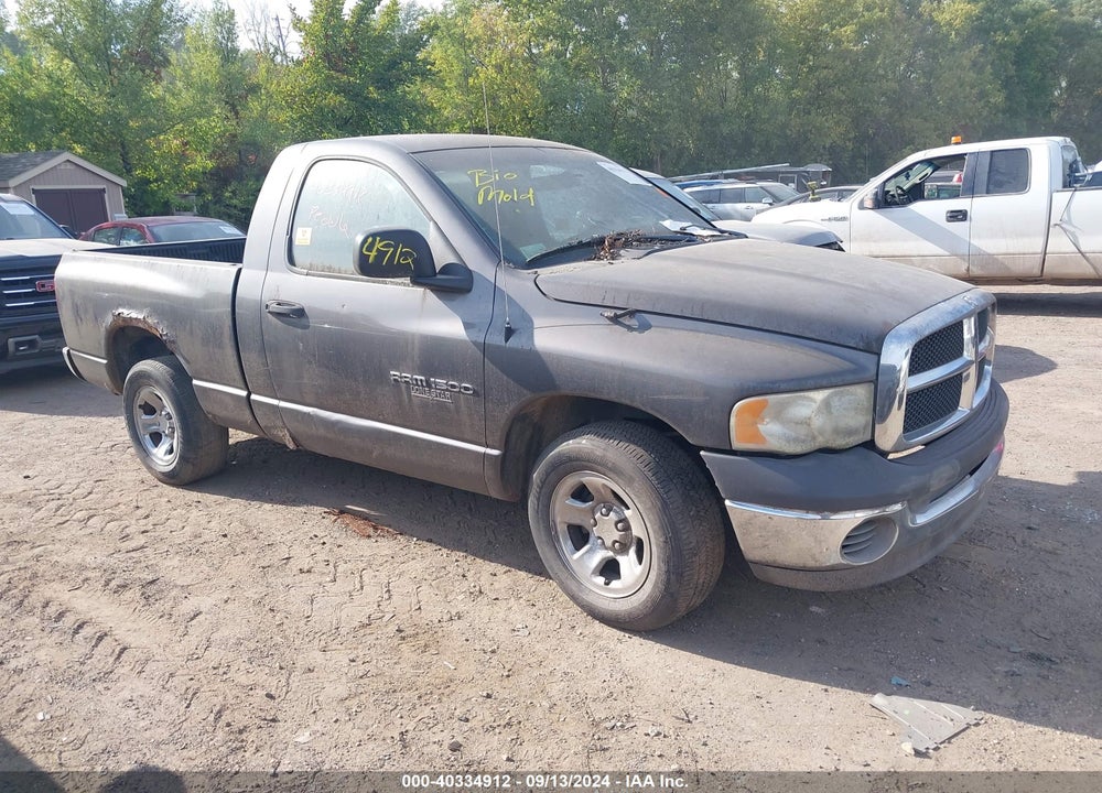 2002 DODGE RAM 1500 ST VIN: 1D7HA16N72J244482