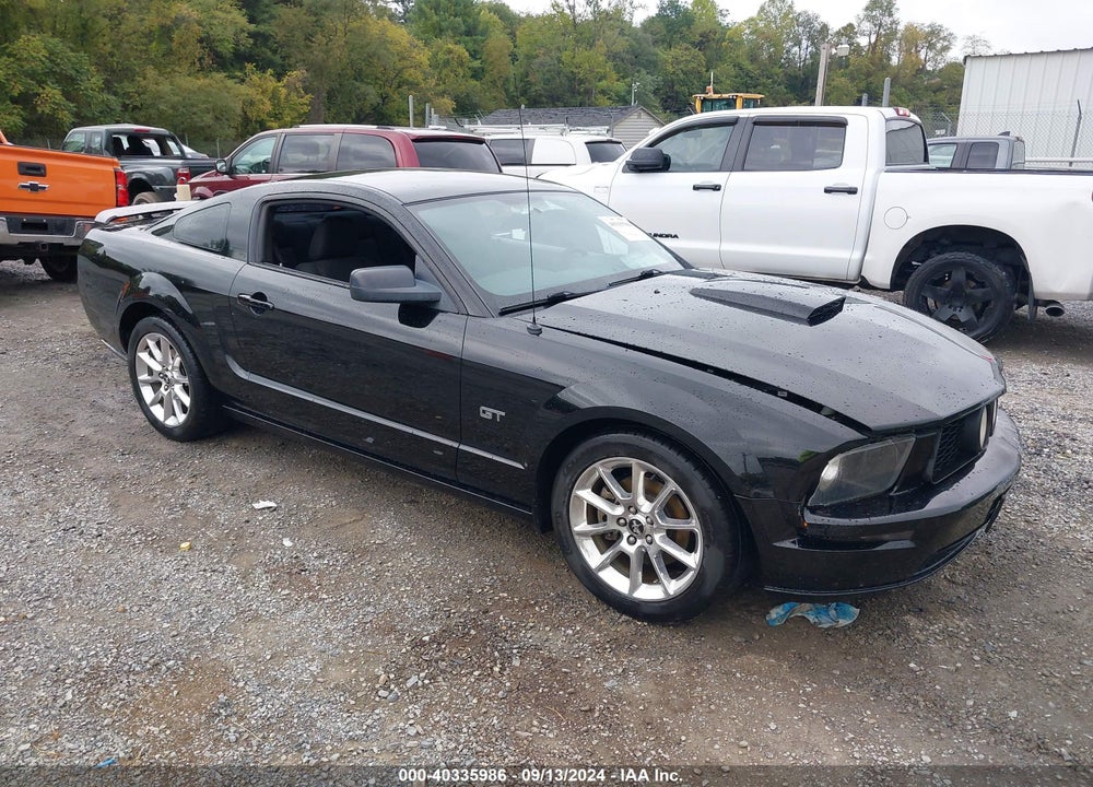 2008 FORD MUSTANG GT DELUXE/GT PREMIUM VIN: 1ZVHT82H585177912