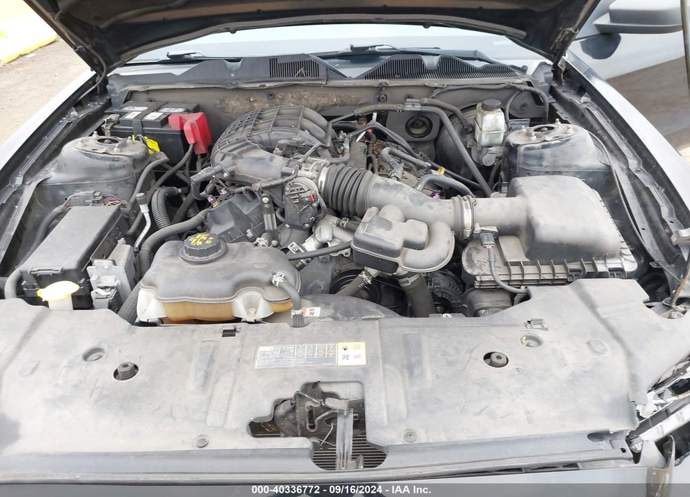 2013 FORD MUSTANG V6 VIN: 1ZVBP8AM7D5269784