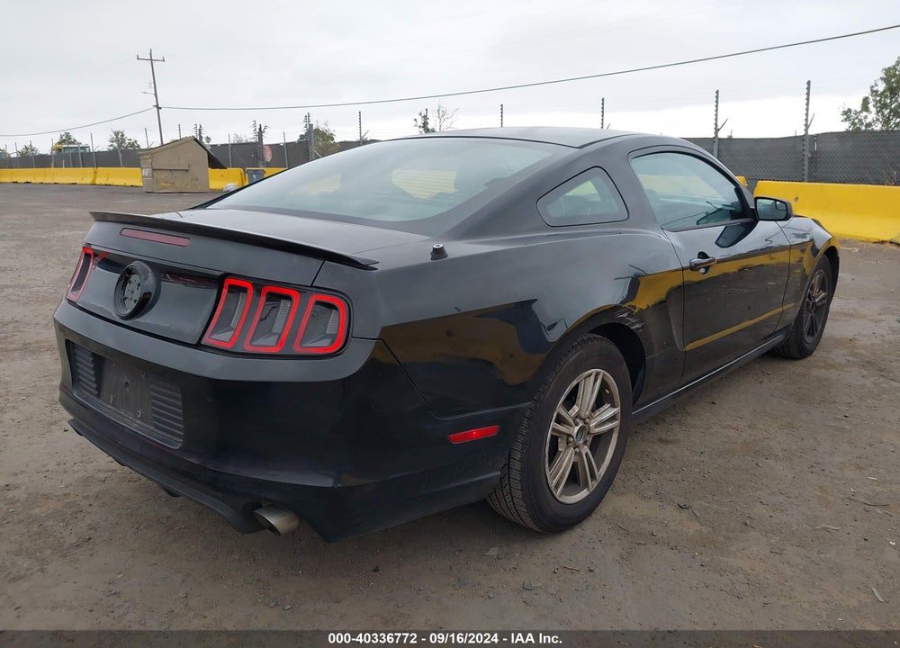 2013 FORD MUSTANG V6 VIN: 1ZVBP8AM7D5269784
