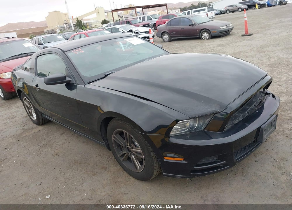 2013 FORD MUSTANG V6 VIN: 1ZVBP8AM7D5269784