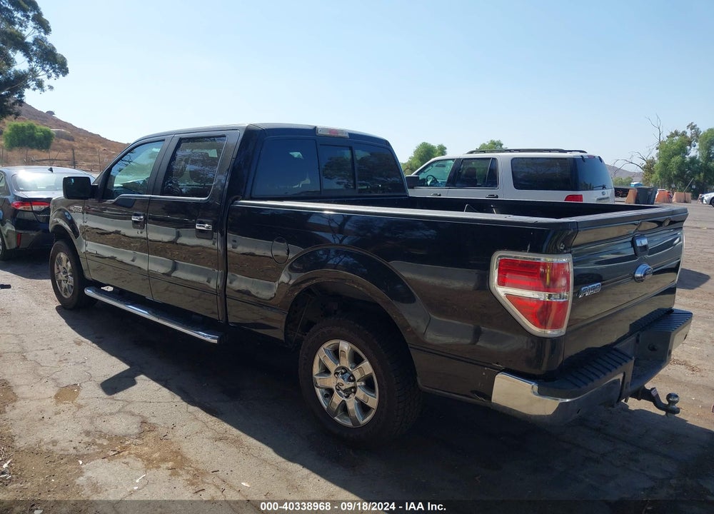 2013 FORD F-150 XLT VIN: 1FTFW1CT7DKG10783